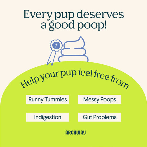 Digestive Health Arch Pet Food