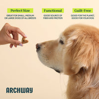 Digestive Health Arch Pet Food