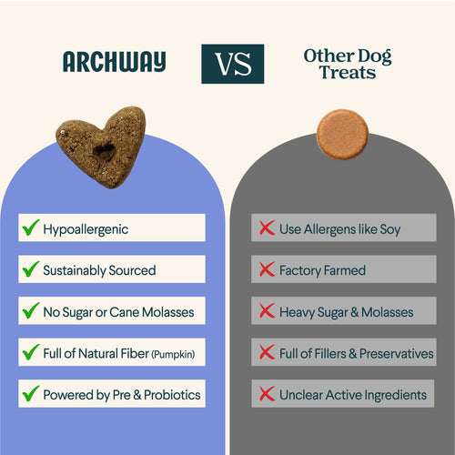 Digestive Health Arch Pet Food