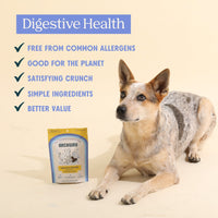 Digestive Health Arch Pet Food
