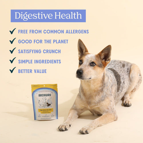Digestive Health Arch Pet Food