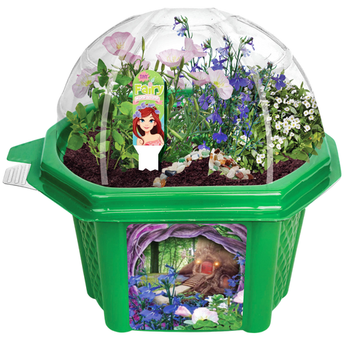 Tiny Fairy Wonderland Micro Dome Terrarium