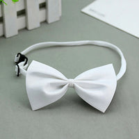 Cute 1 piece Cute Solid Color Adjustable Pet Bow Tie Pet Dog Collar Bowknot Bow Ties Gentleman Dog Bow Tie Pet Supply
