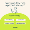Hip & Joint Health Arch Pet Food
