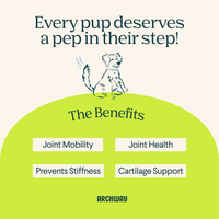Hip & Joint Health Arch Pet Food
