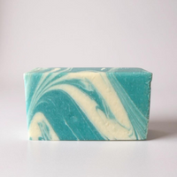 Antibacterial Body Soap Fight Scrub