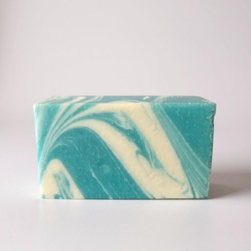 Antibacterial Body Soap Fight Scrub