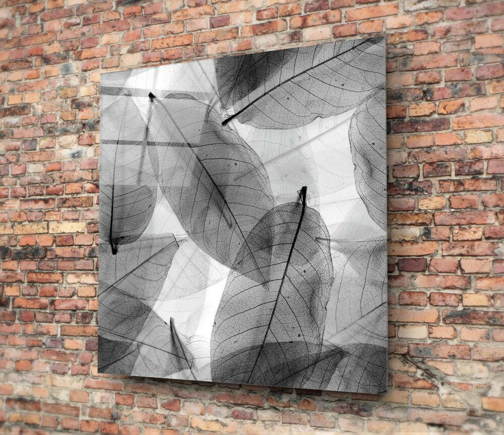 Insigneart USA Insigneart USA Black and White Leaves Glass Wall Art