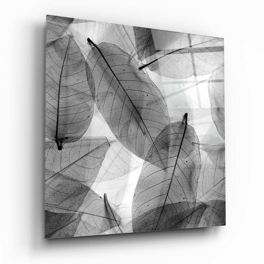 Insigneart USA Insigneart USA Black and White Leaves Glass Wall Art