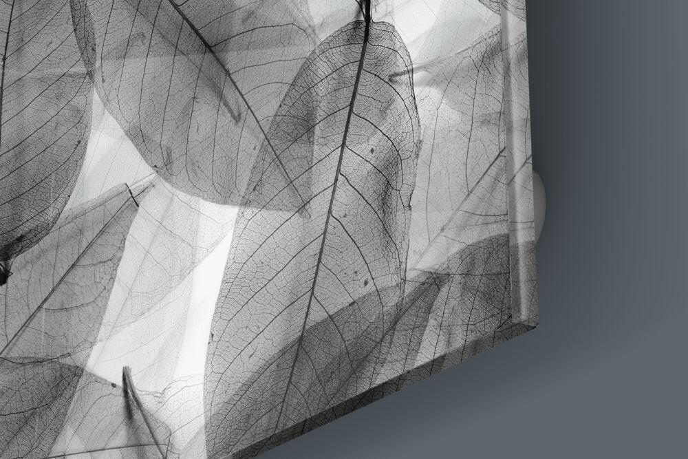 Insigneart USA Insigneart USA Black and White Leaves Glass Wall Art