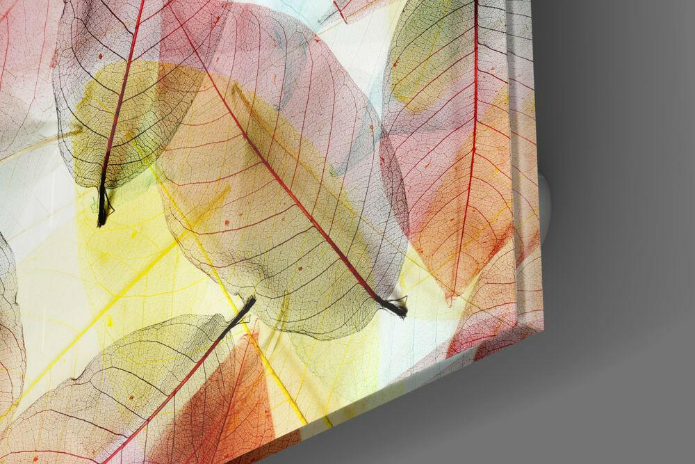 Insigneart USA Insigneart USA Colorful Leaves Glass Wall Art