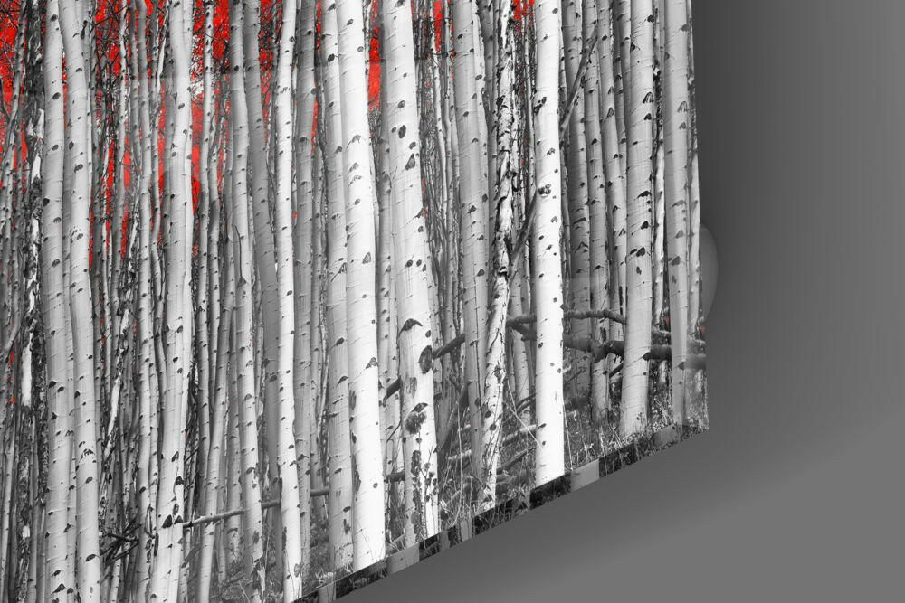Insigneart USA Insigneart USA Red Forest Glass Wall Art