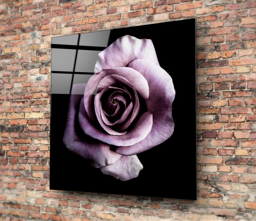 Insigneart USA Insigneart USA Purple Rose Glass Wall Art