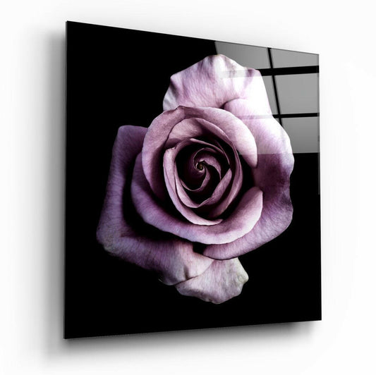 Insigneart USA Insigneart USA Purple Rose Glass Wall Art