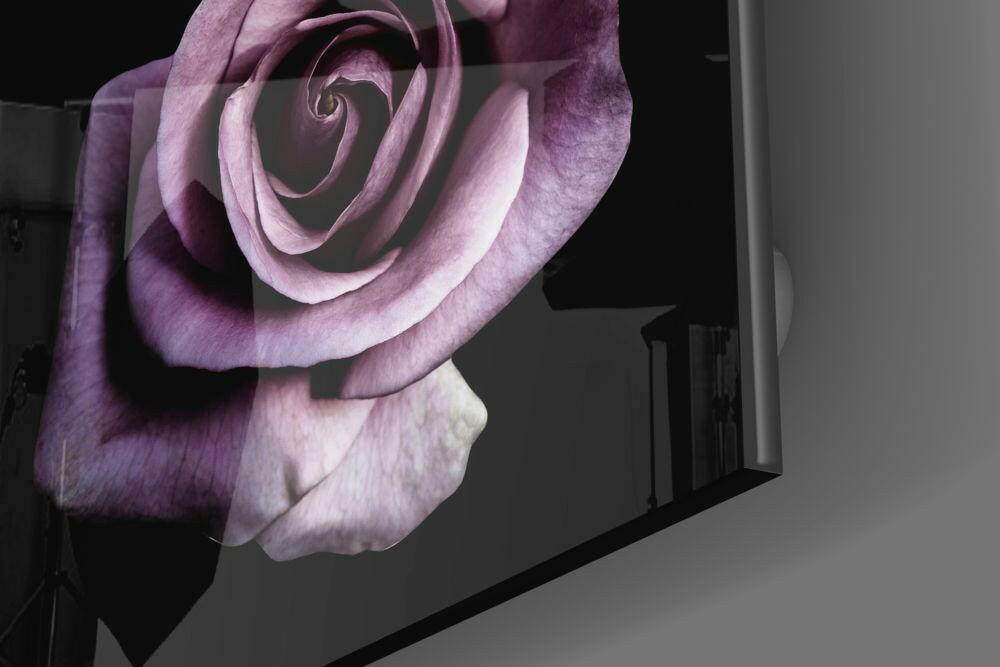 Insigneart USA Insigneart USA Purple Rose Glass Wall Art