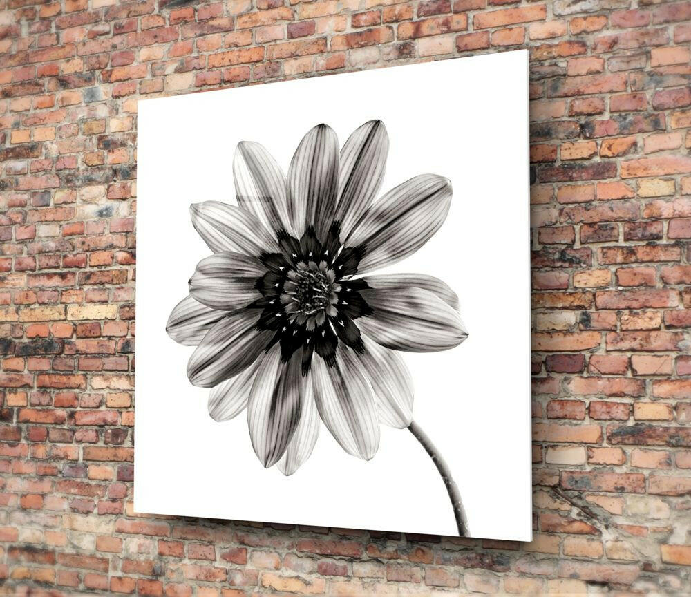 Insigneart USA Insigneart USA Flower Glass Wall Art