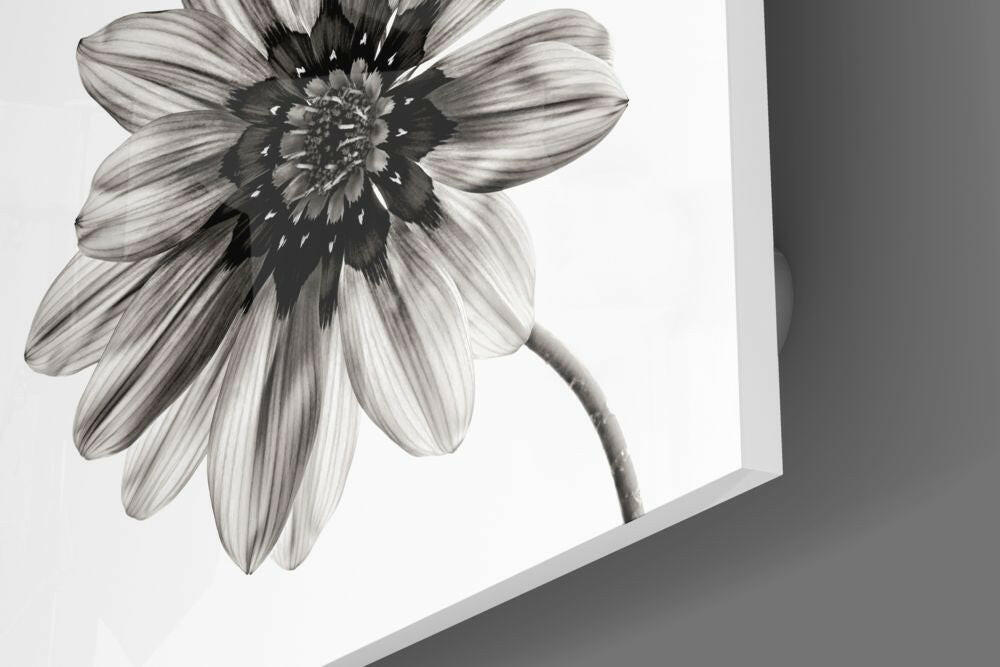 Insigneart USA Insigneart USA Flower Glass Wall Art