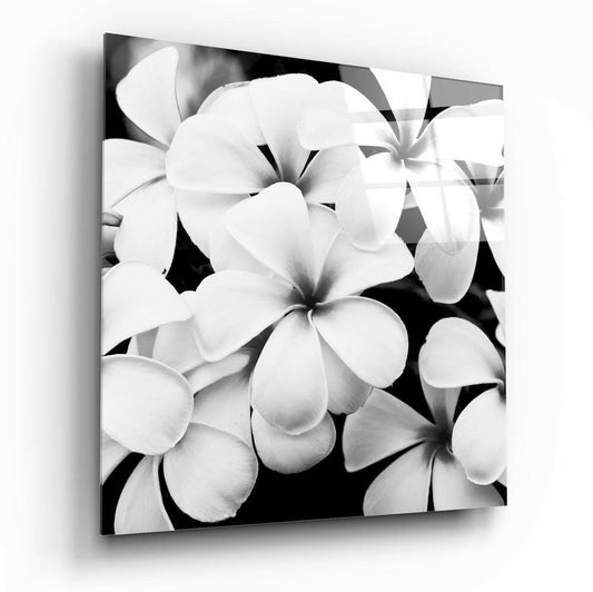 Insigneart USA Insigneart USA Black and White Flowers Glass Wall Art