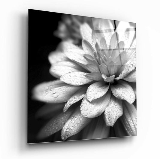Insigneart USA Insigneart USA Flower Glass Wall Art