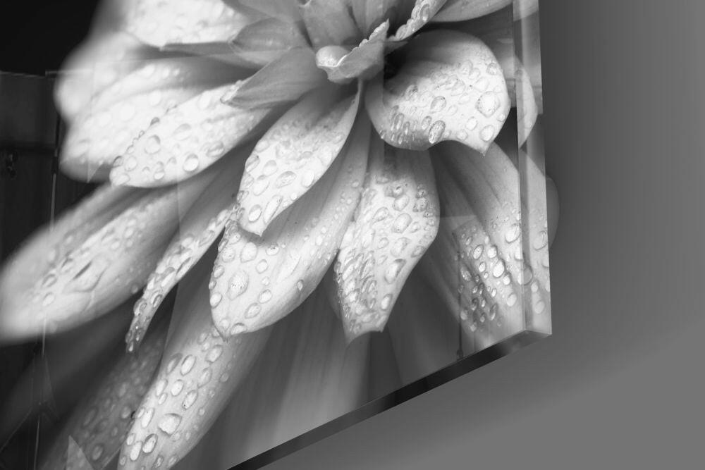 Insigneart USA Insigneart USA Flower Glass Wall Art
