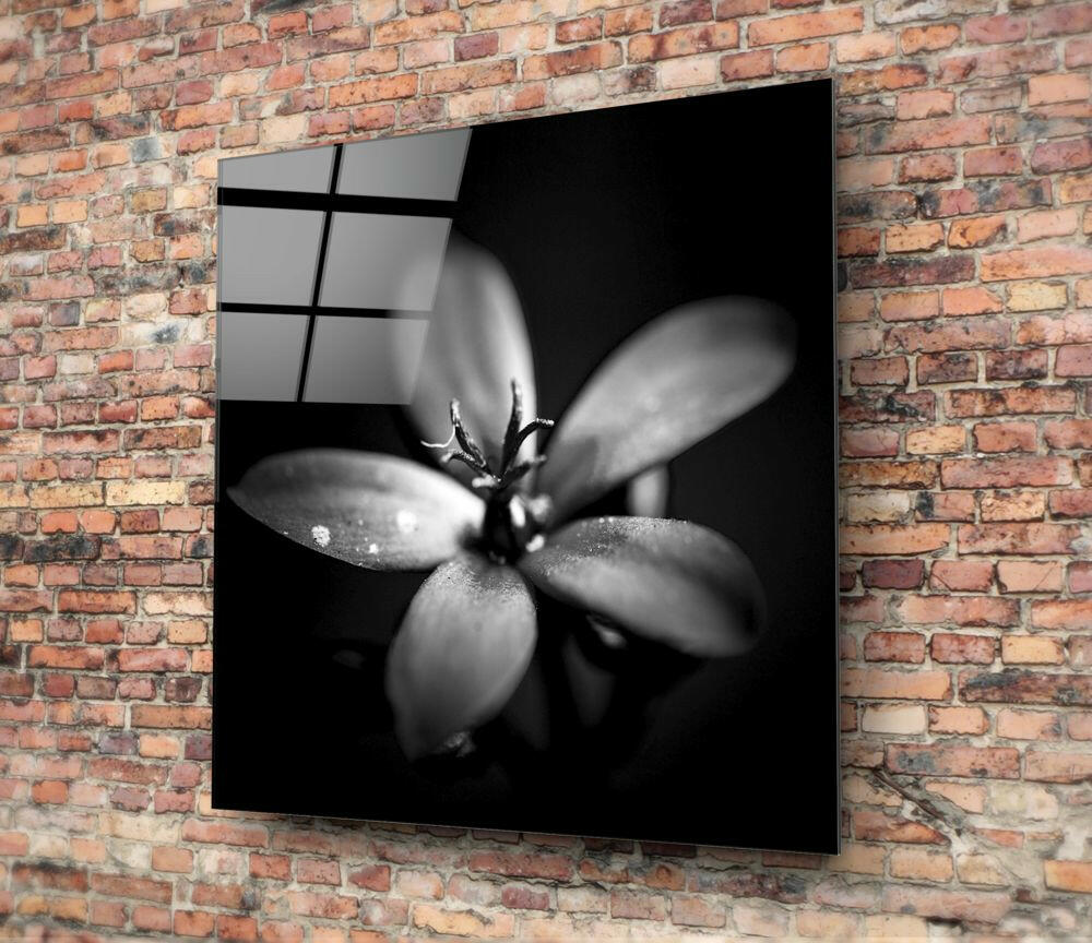 Insigneart USA Insigneart USA Flower Glass Wall Art