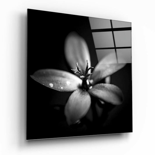 Insigneart USA Insigneart USA Flower Glass Wall Art