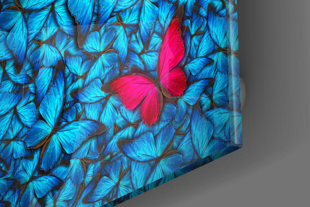 Insigneart USA Insigneart USA Butterfly Glass Wall Art