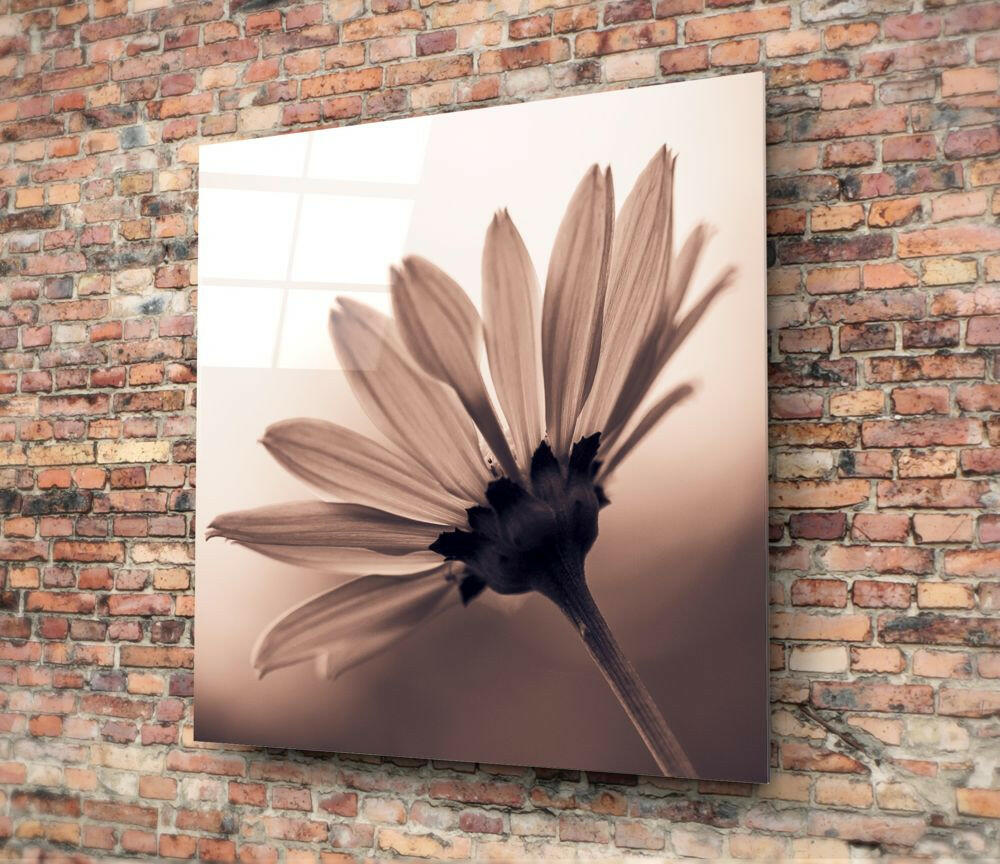 Insigneart USA Insigneart USA Flower Glass Wall Art