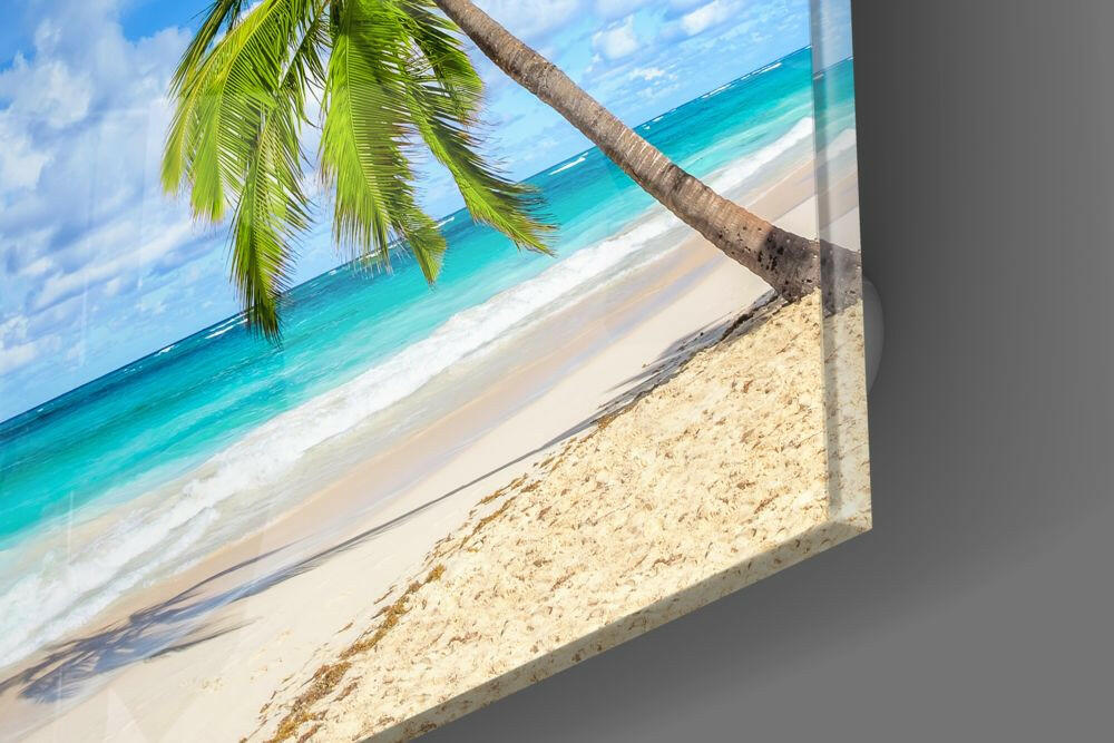 Insigneart USA Insigneart USA Palm Tree Glass Wall Art