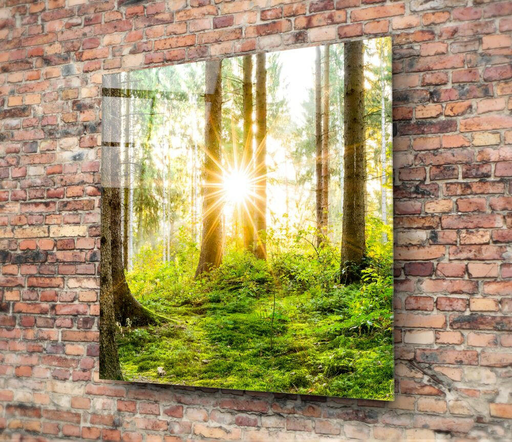 Insigneart USA Insigneart USA Forest Glass Wall Art