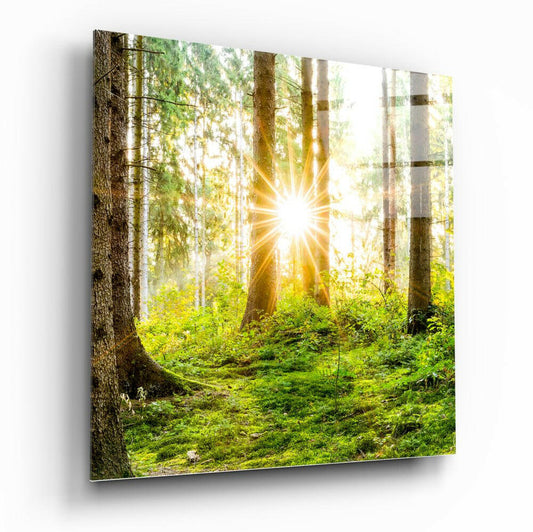 Insigneart USA Insigneart USA Forest Glass Wall Art