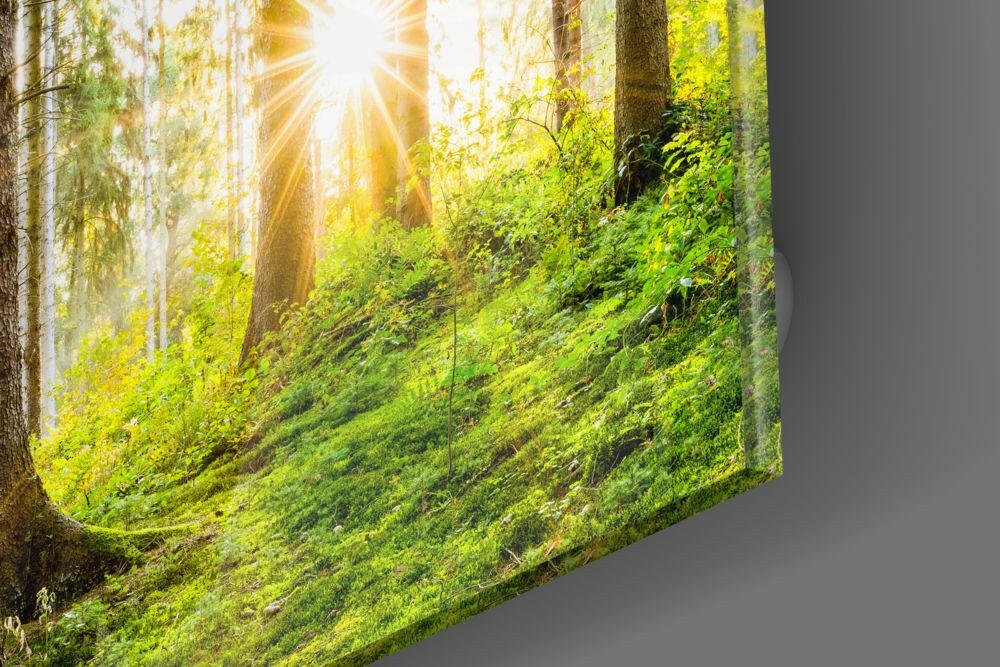 Insigneart USA Insigneart USA Forest Glass Wall Art
