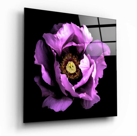 Insigneart USA Insigneart USA Floral Pink Glass Wall Art
