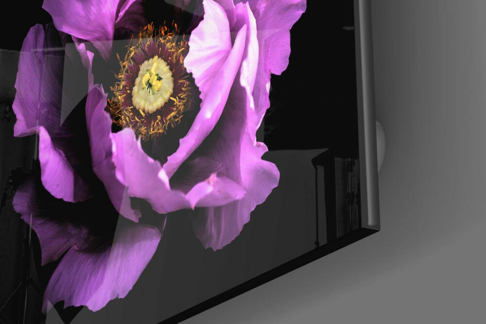 Insigneart USA Insigneart USA Floral Pink Glass Wall Art