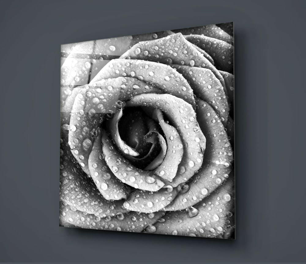 Insigneart USA Insigneart USA Rose Glass Wall Art