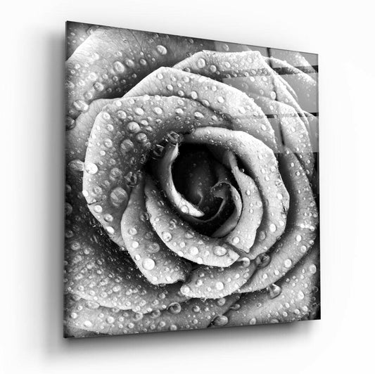 Insigneart USA Insigneart USA Rose Glass Wall Art