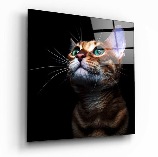 Insigneart USA Insigneart USA Kitten Glass Wall Art
