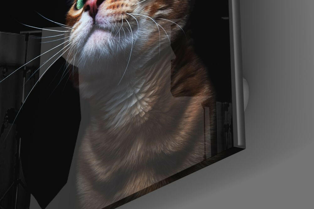 Insigneart USA Insigneart USA Kitten Glass Wall Art