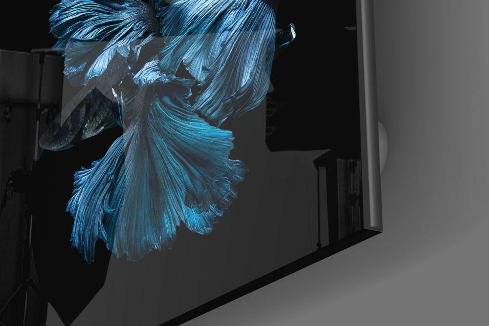 Insigneart USA Insigneart USA Betta Fish Glass Wall Art