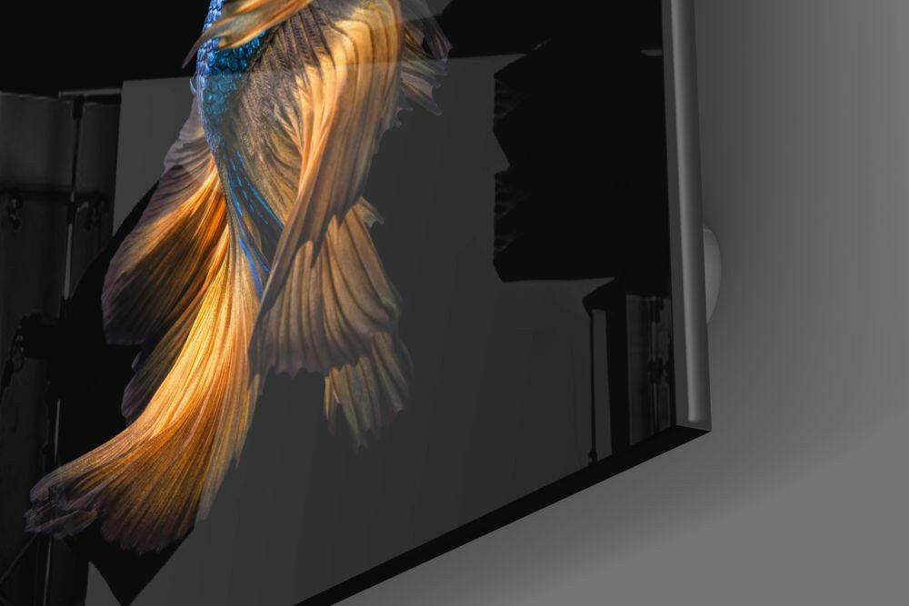 Insigneart USA Insigneart USA Betta Fish Glass Wall Art
