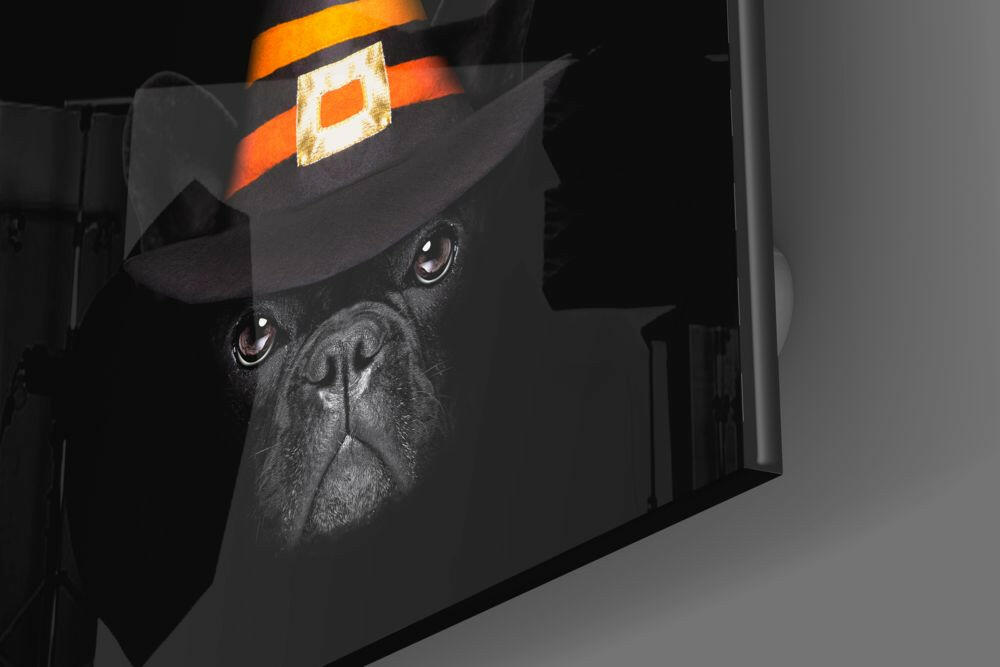 Insigneart USA Insigneart USA Dog Glass Wall Art