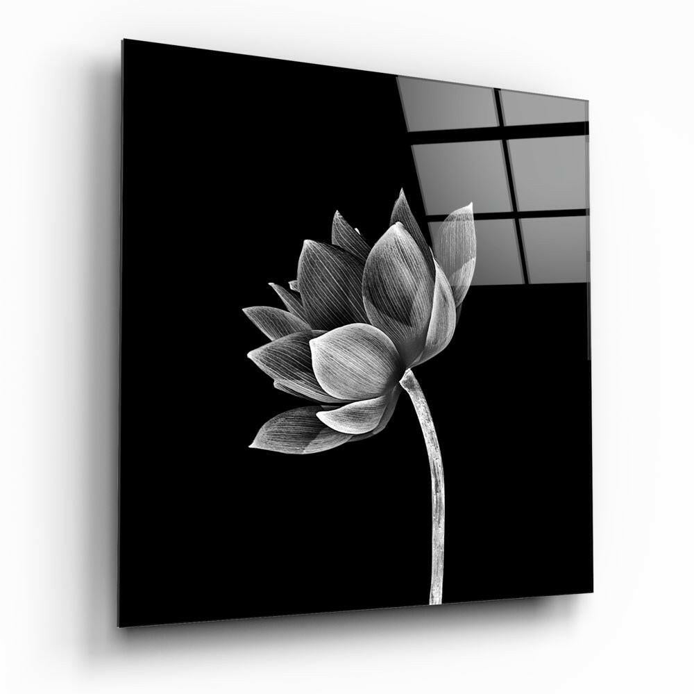 Insigneart USA Insigneart USA Floral Glass Wall Art