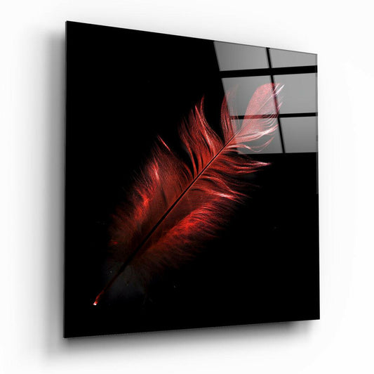 Insigneart USA Insigneart USA Colored Feather Glass Wall Art