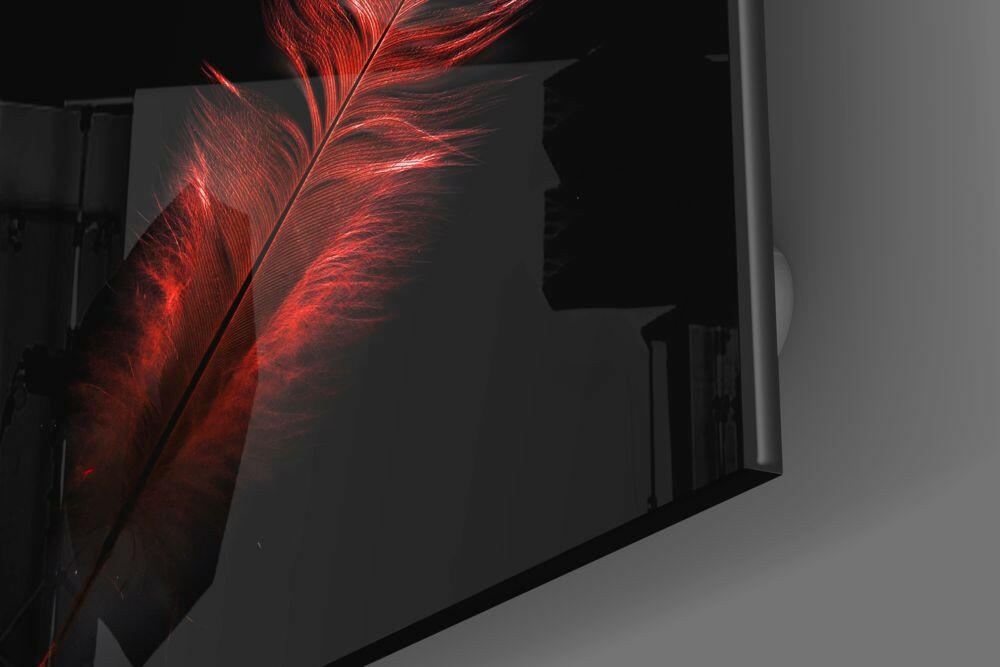 Insigneart USA Insigneart USA Colored Feather Glass Wall Art