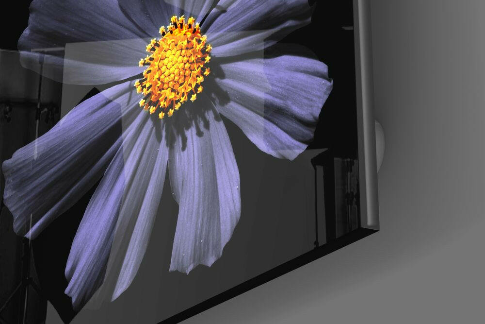 Insigneart USA Insigneart USA Purple Flower Glass Wall Art