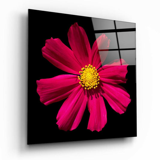 Insigneart USA Insigneart USA Red Flower Glass Wall Art
