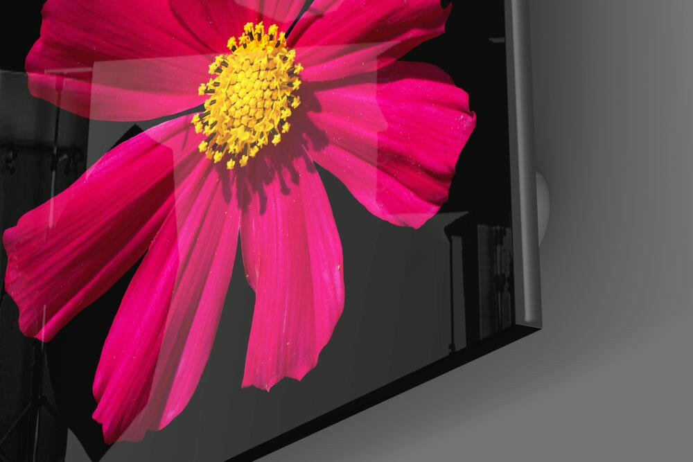 Insigneart USA Insigneart USA Red Flower Glass Wall Art