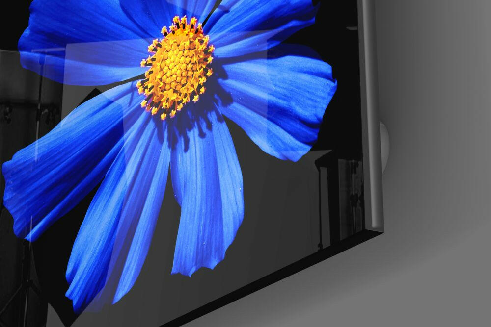 Insigneart USA Insigneart USA Blue Flower Glass Wall Art