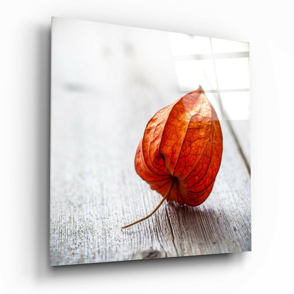 Insigneart USA Insigneart USA Dry Leaf Glass Wall Art