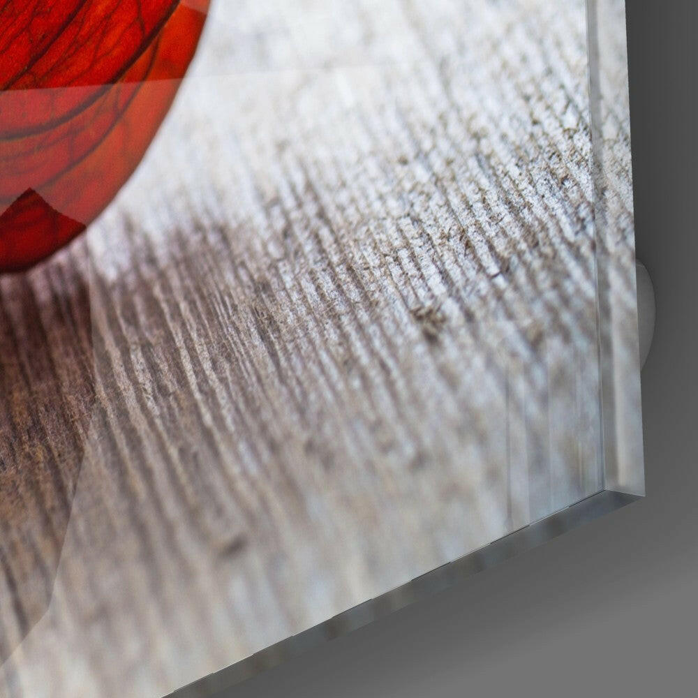Insigneart USA Insigneart USA Dry Leaf Glass Wall Art